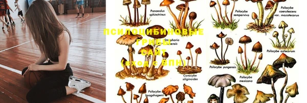 амфетамин Алексеевка