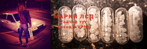 spice Покров