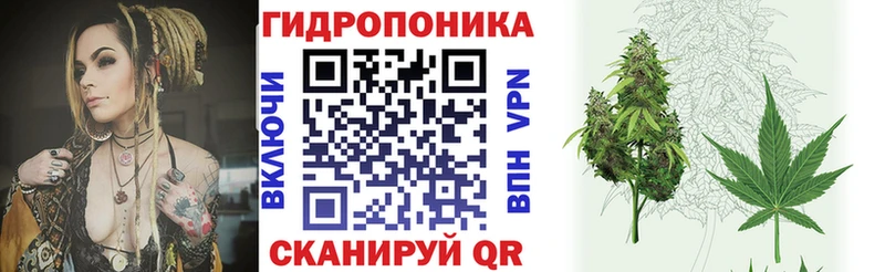 Бошки Шишки ГИДРОПОН Арсеньев